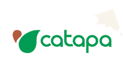 Catapa